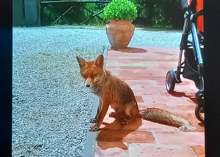 Da Nonna ArgiaAgriturismo